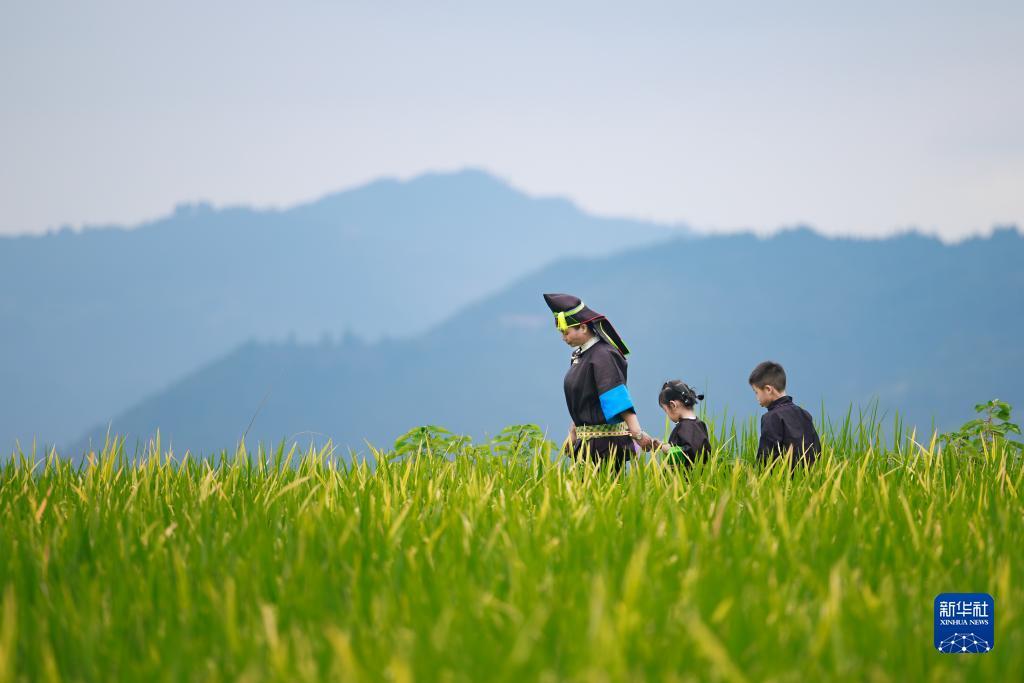 金沙银河